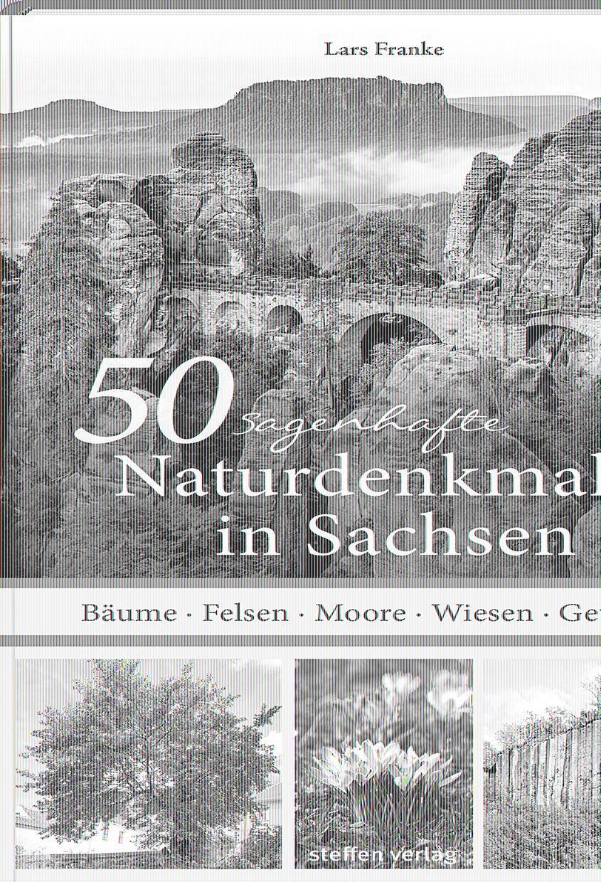 Cover: 9783957990419 | 50 sagenhafte Naturdenkmale in Sachsen | Lars Franke | Taschenbuch