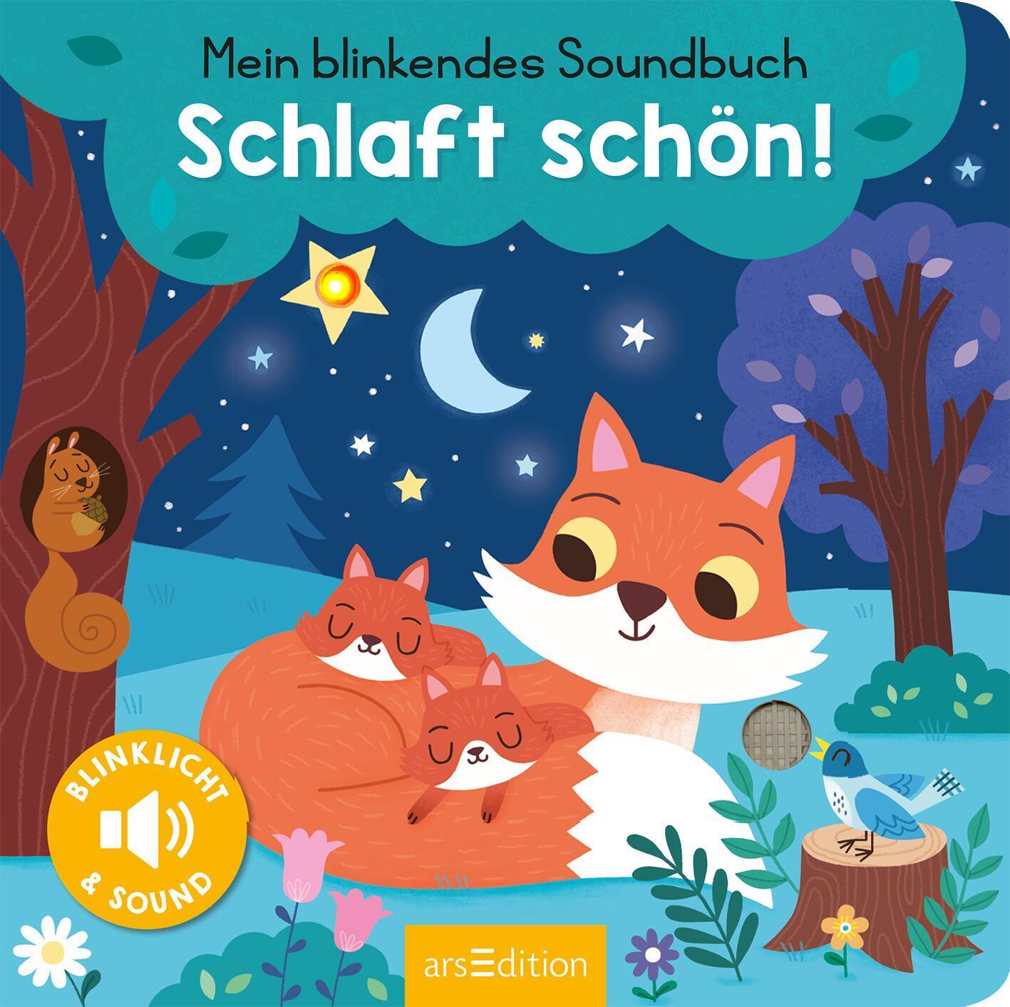 Bild: 9783845848099 | Mein blinkendes Soundbuch - Schlaft schön! | Sound mit 1 LED | Höck