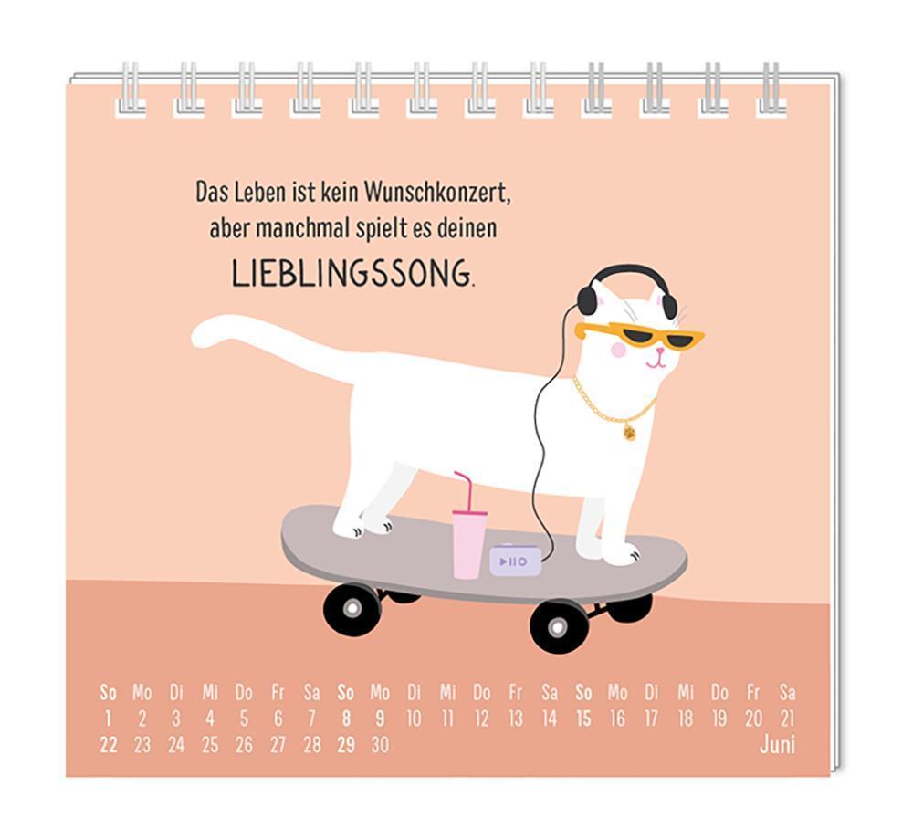 Bild: 9783986361310 | Mini-Kalender 2025 Have a purrrfect time! | Mini-Kalender | Original