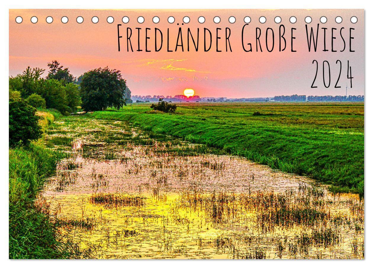Cover: 9783675601888 | Friedländer Große Wiese (Tischkalender 2024 DIN A5 quer), CALVENDO...