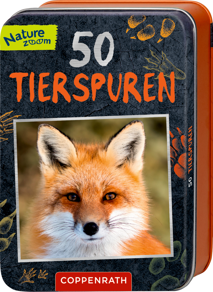 Cover: 9783649641285 | 50 Tierspuren | Barbara Wernsing | Lehr-, Lern-, Bildkarten | 52 S.