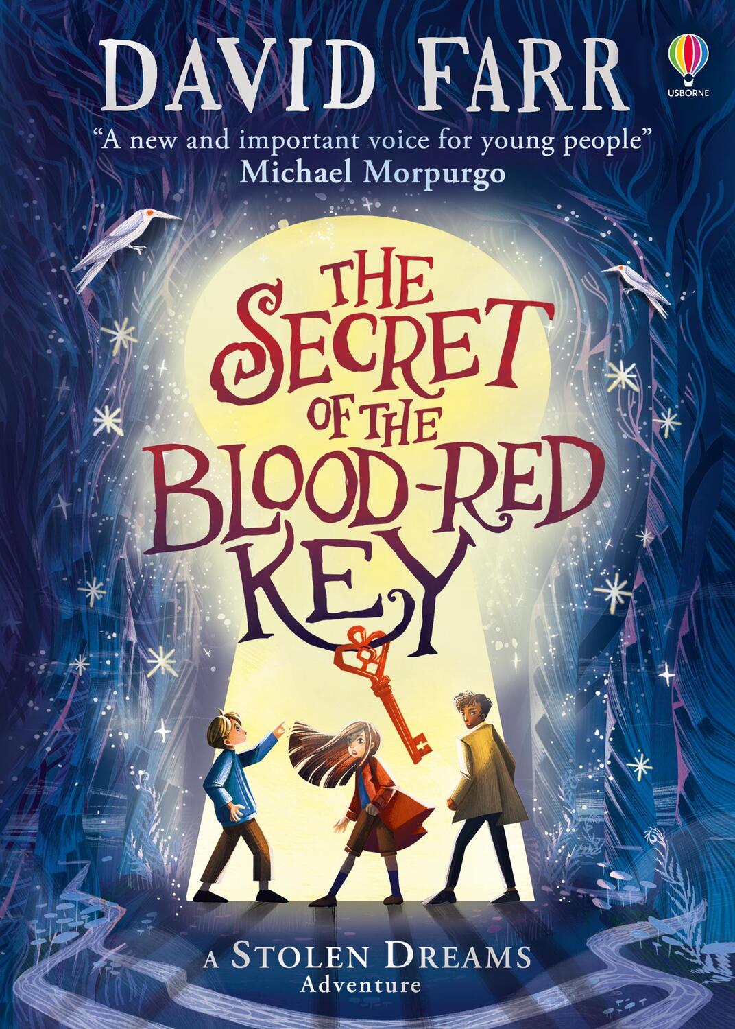 Cover: 9781801311090 | The Secret of the Blood-Red Key | David Farr | Buch | Englisch | 2023