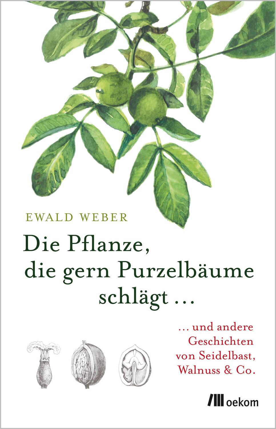 Cover: 9783960060284 | Die Pflanze, die gern Purzelbäume schlägt ... | Ewald Weber | Buch