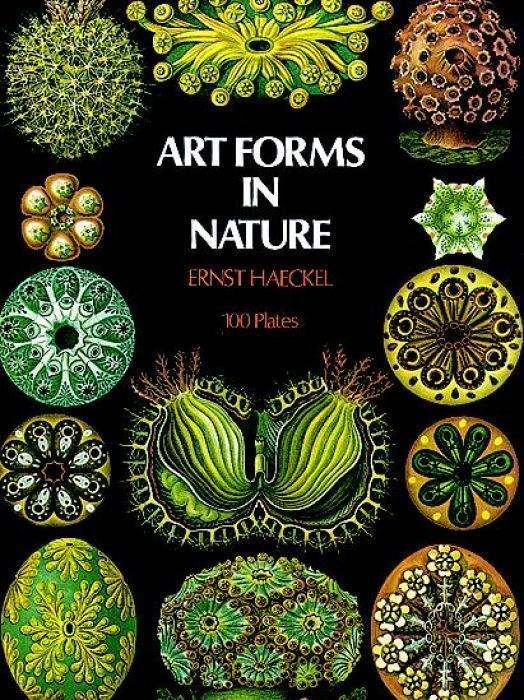 Cover: 9780486229874 | Art Forms in Nature | Ernst Haeckel | Taschenbuch | Englisch | 1974