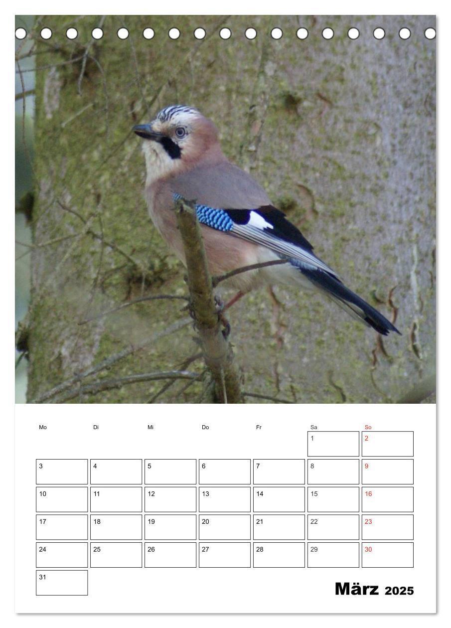 Bild: 9783457020074 | Rabenvögel Terminplaner (Tischkalender 2025 DIN A5 hoch), CALVENDO...