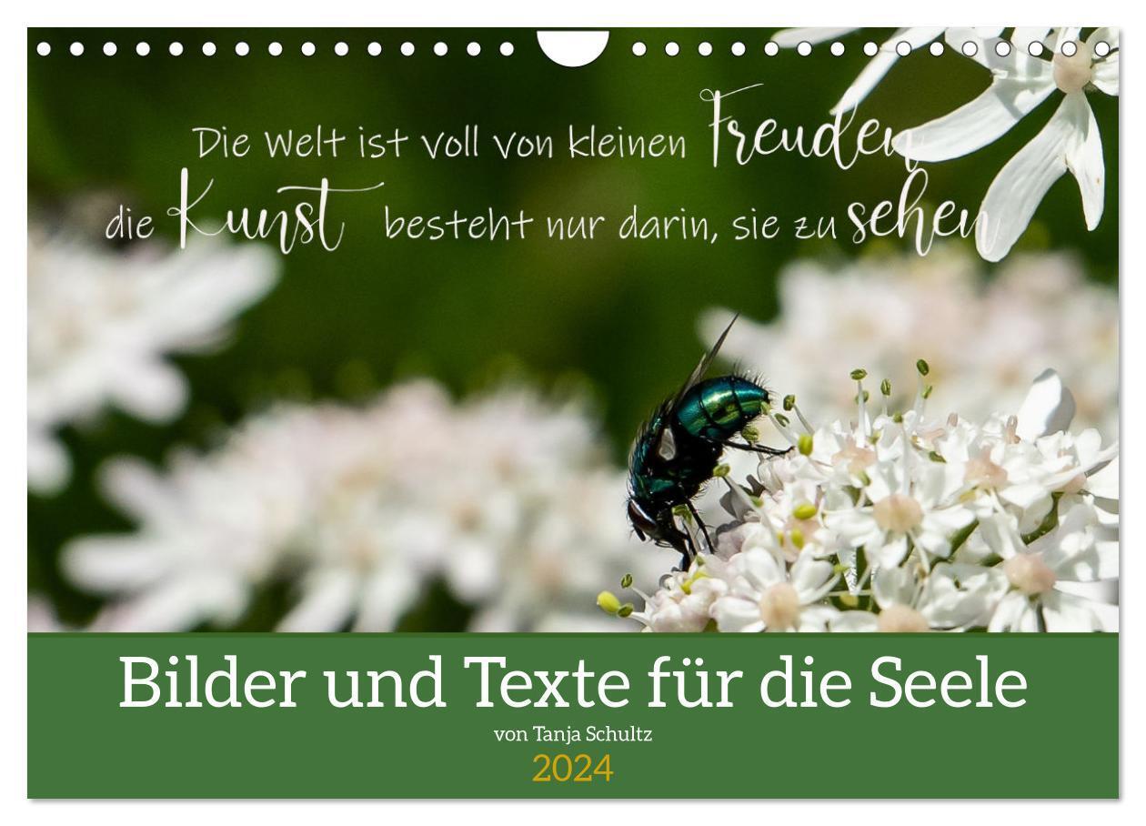 Cover: 9783675927070 | Bilder und Texte für die Seele (Wandkalender 2024 DIN A4 quer),...