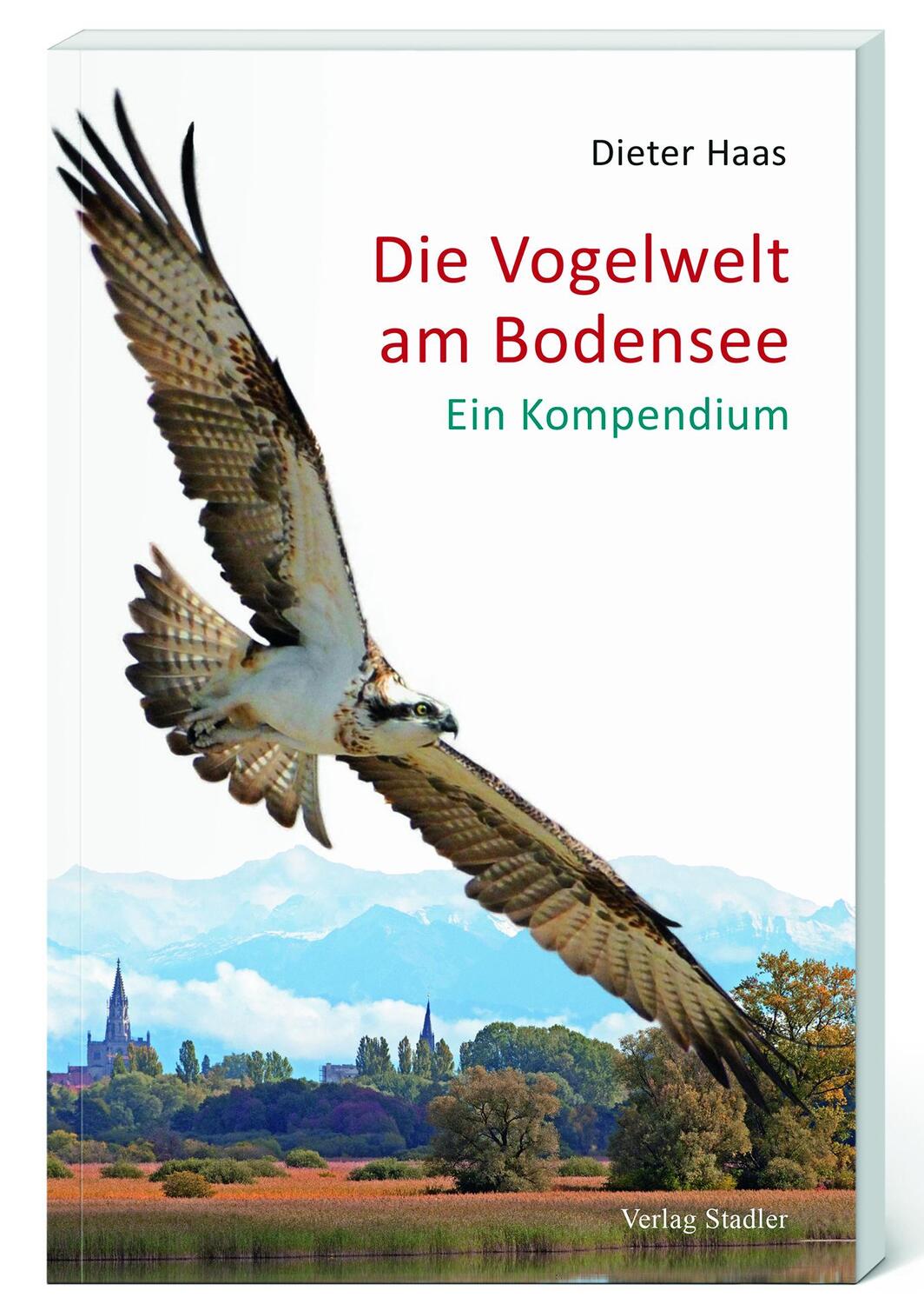 Cover: 9783797707598 | Die Vogelwelt am Bodensee | Ein Kompendium | Dieter Haas | Taschenbuch