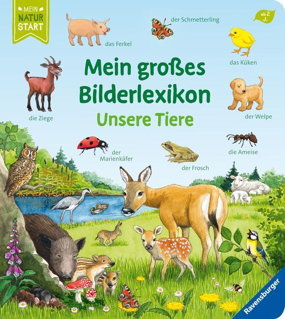 Cover: 9783473416783 | Mein großes Bilderlexikon: Unsere Tiere | Susanne Gernhäuser | Buch