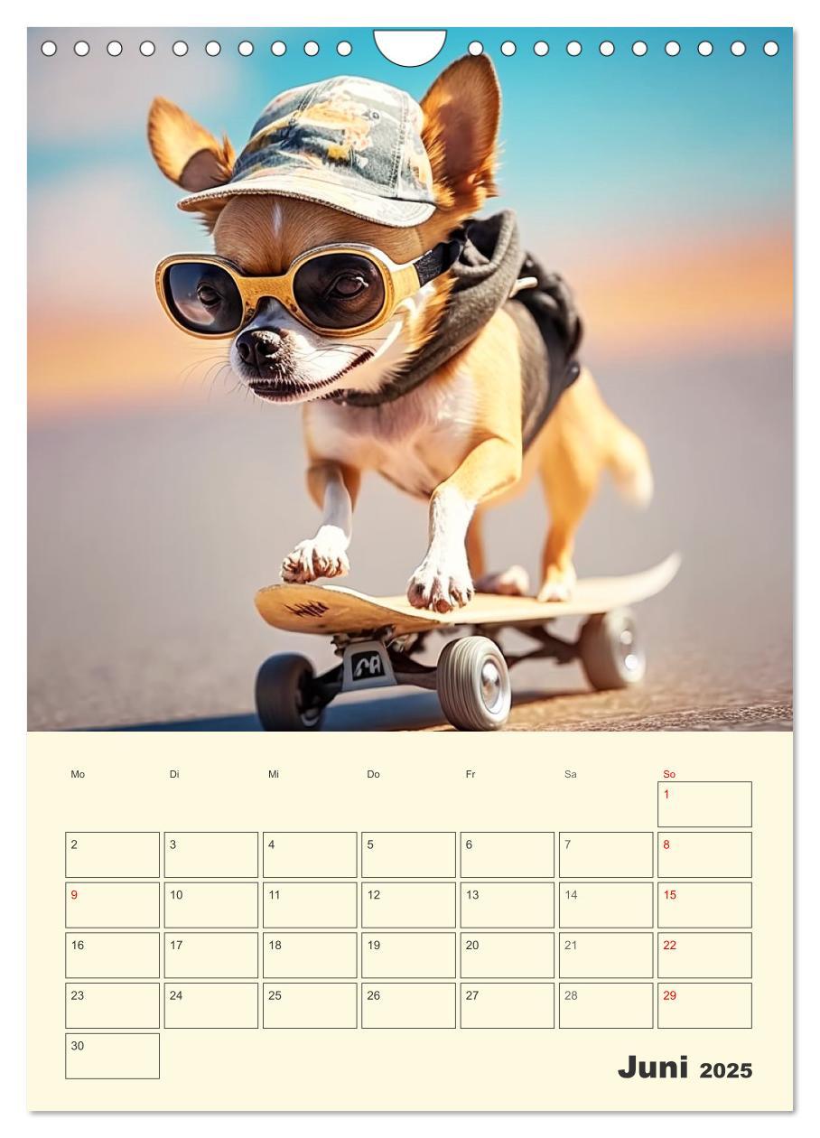 Bild: 9783435871766 | Witzige Chihuahuas. Glückliche Temperamentbündel (Wandkalender 2025...