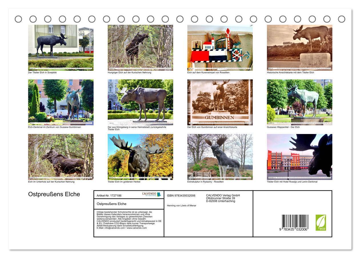 Bild: 9783435032006 | Ostpreußens Elche (Tischkalender 2025 DIN A5 quer), CALVENDO...