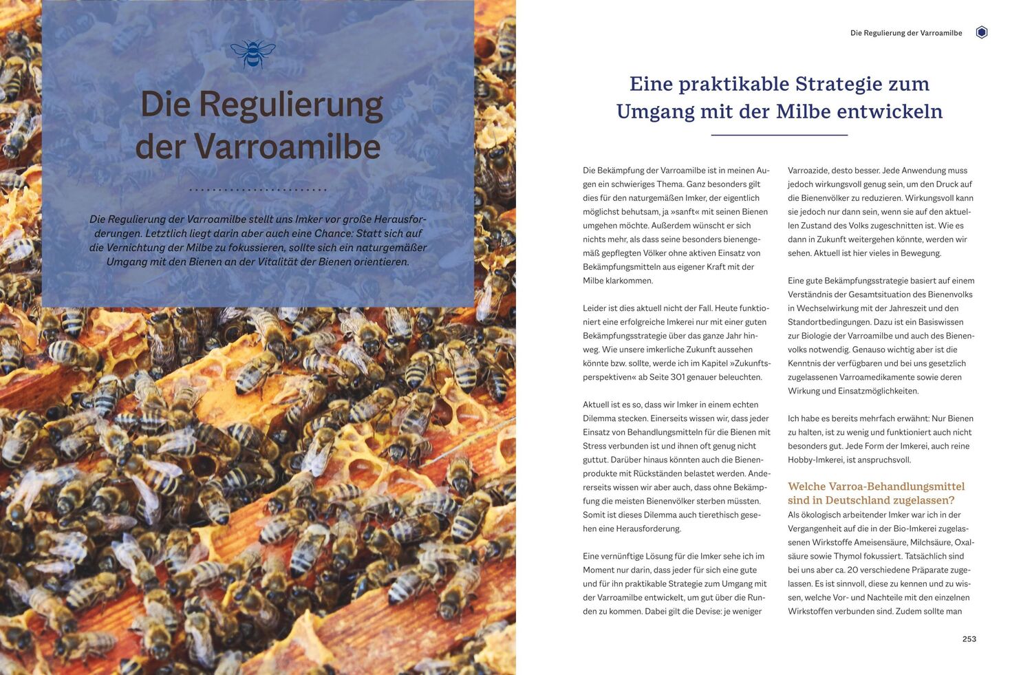 Bild: 9783967470451 | Bienengemäß imkern im Jahreslauf | Günter Friedmann | Buch | 336 S.