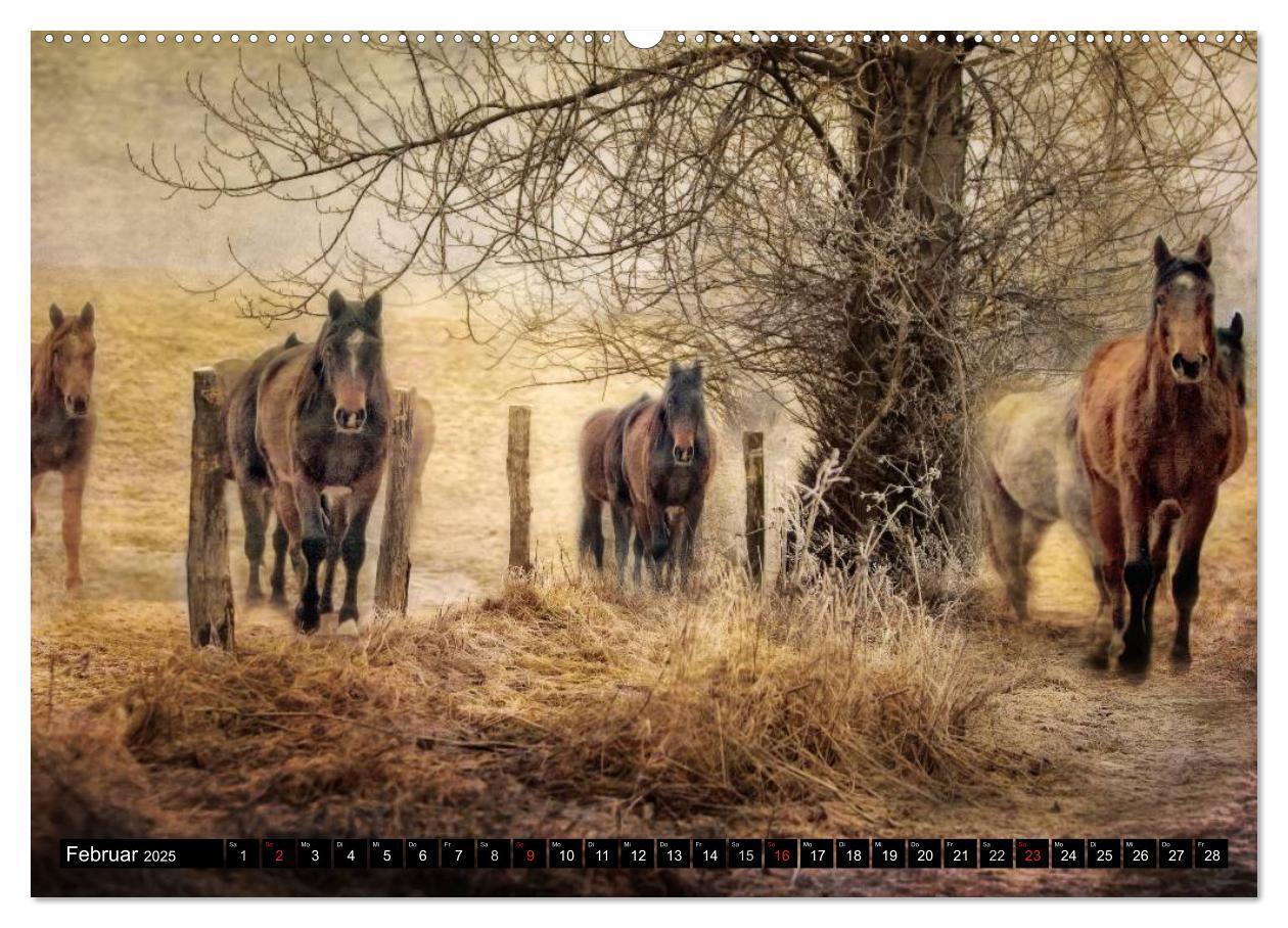 Bild: 9783435479337 | Western und Pferde (hochwertiger Premium Wandkalender 2025 DIN A2...