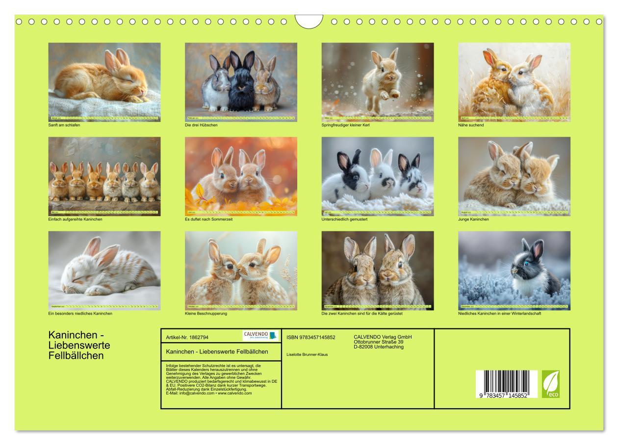 Bild: 9783457145852 | Kaninchen - Liebenswerte Fellbällchen (Wandkalender 2025 DIN A3...