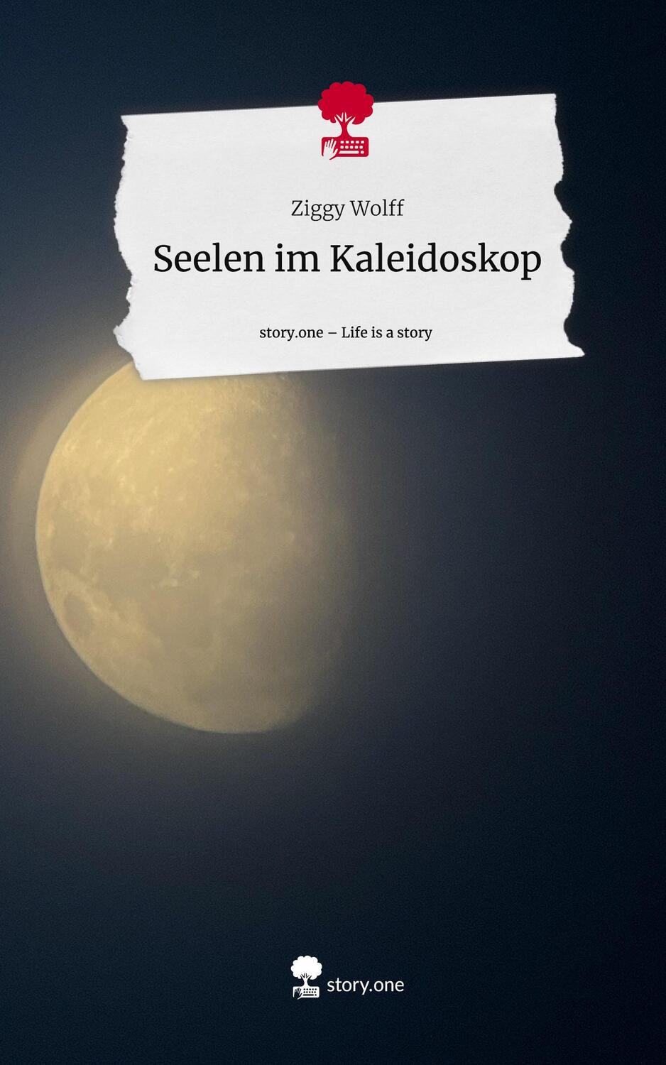 Cover: 9783711513908 | Seelen im Kaleidoskop. Life is a Story - story.one | Ziggy Wolff
