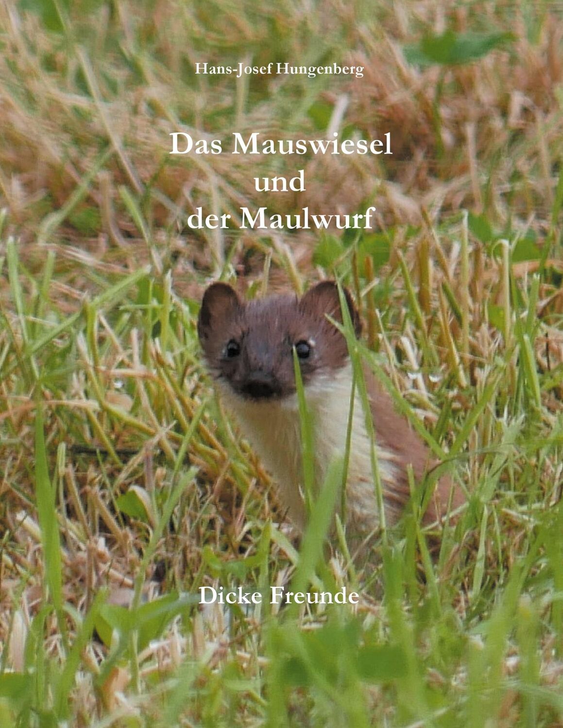 Cover: 9783753458458 | Das Mauswiesel und der Maulwurf | Dicke Freunde | Hungenberg | Buch