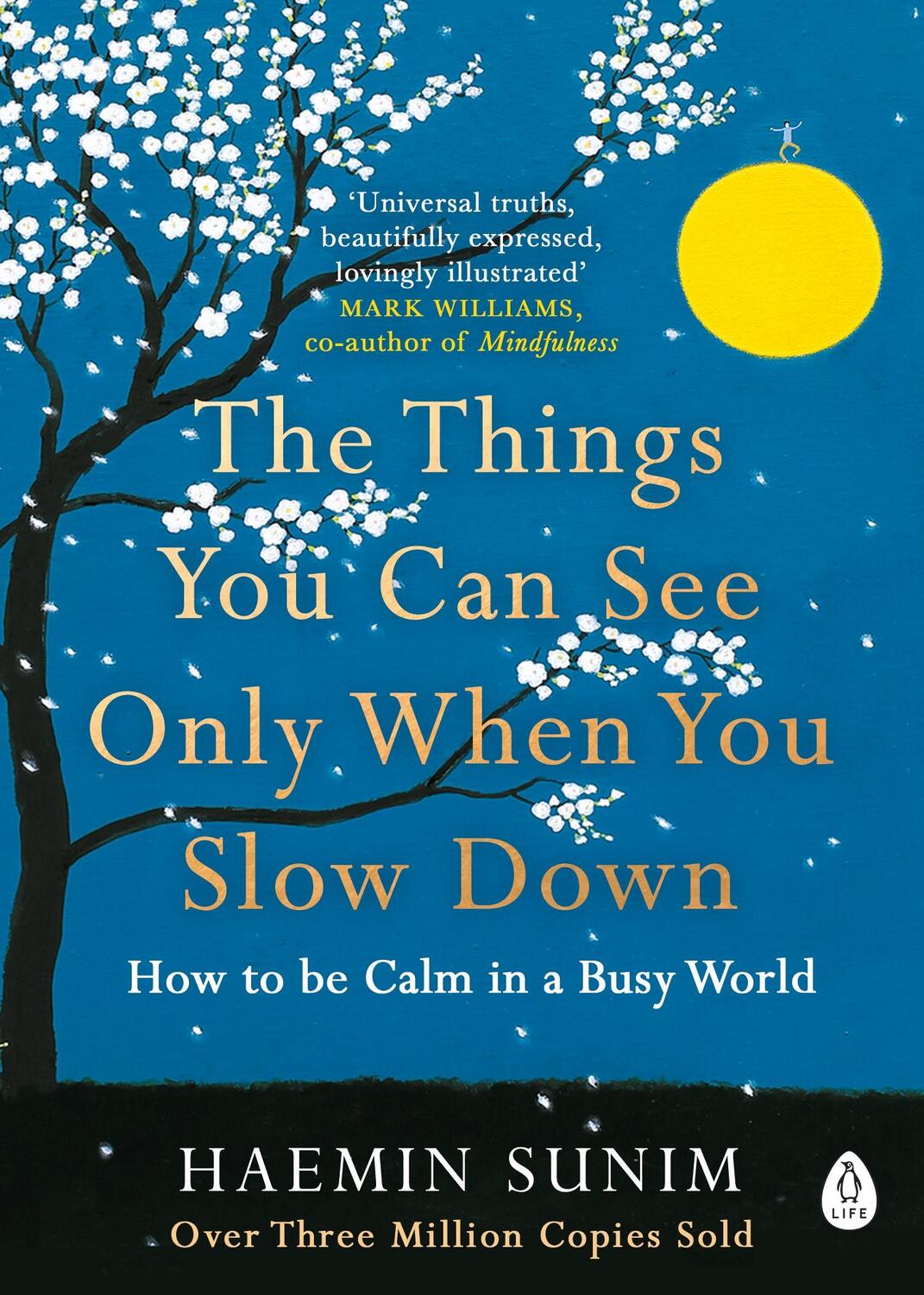 Cover: 9780241340660 | The Things You Can See Only When You Slow Down | Haemin Sunim | Buch