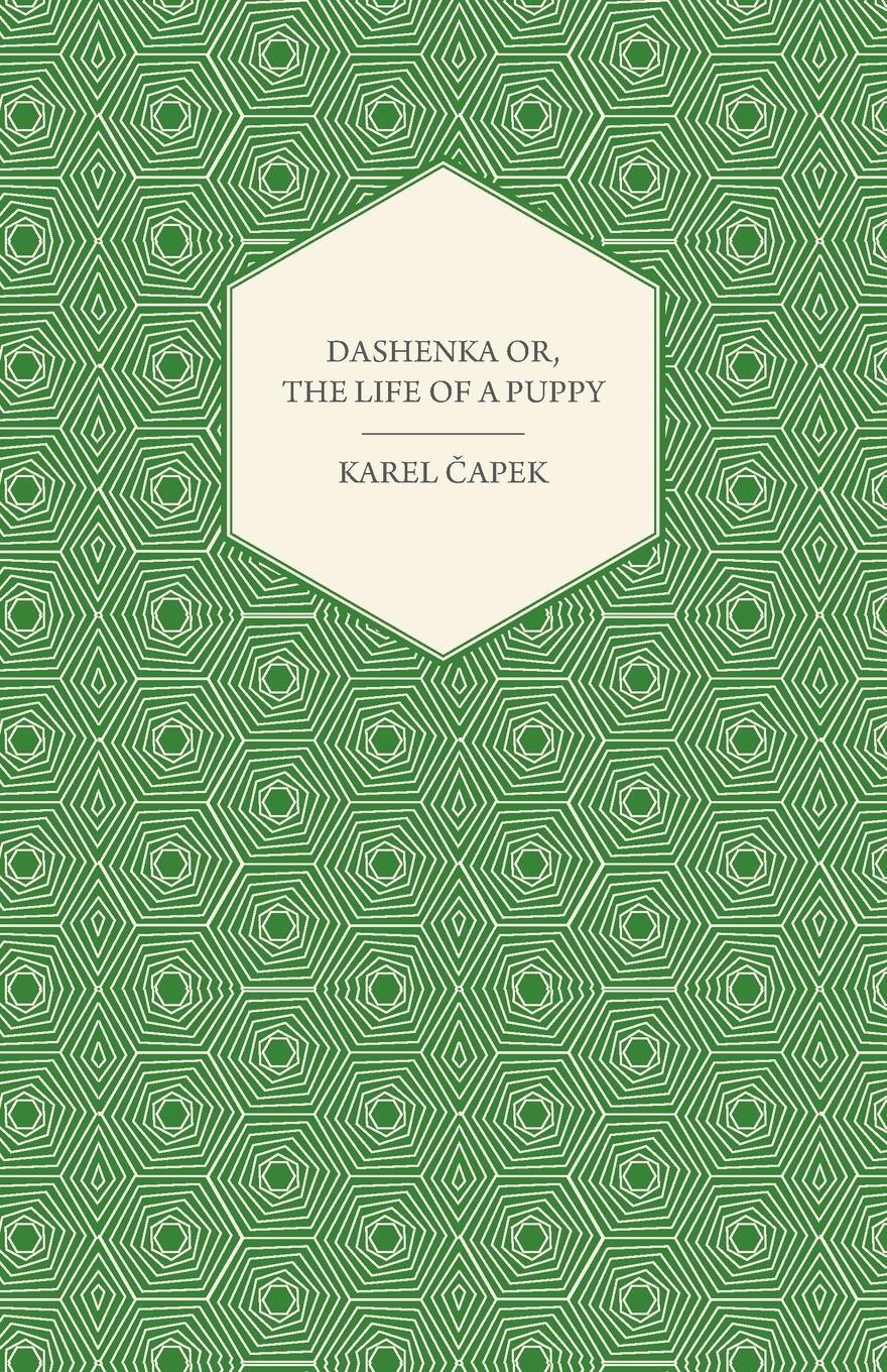Cover: 9781447422716 | Dashenka - Or, The Life of a Puppy | Karel ¿Apek | Taschenbuch | 2011