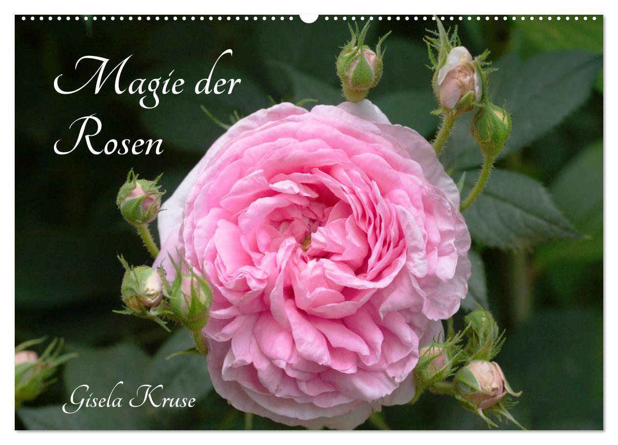 Cover: 9783435234356 | Magie der Rosen (Wandkalender 2025 DIN A2 quer), CALVENDO...