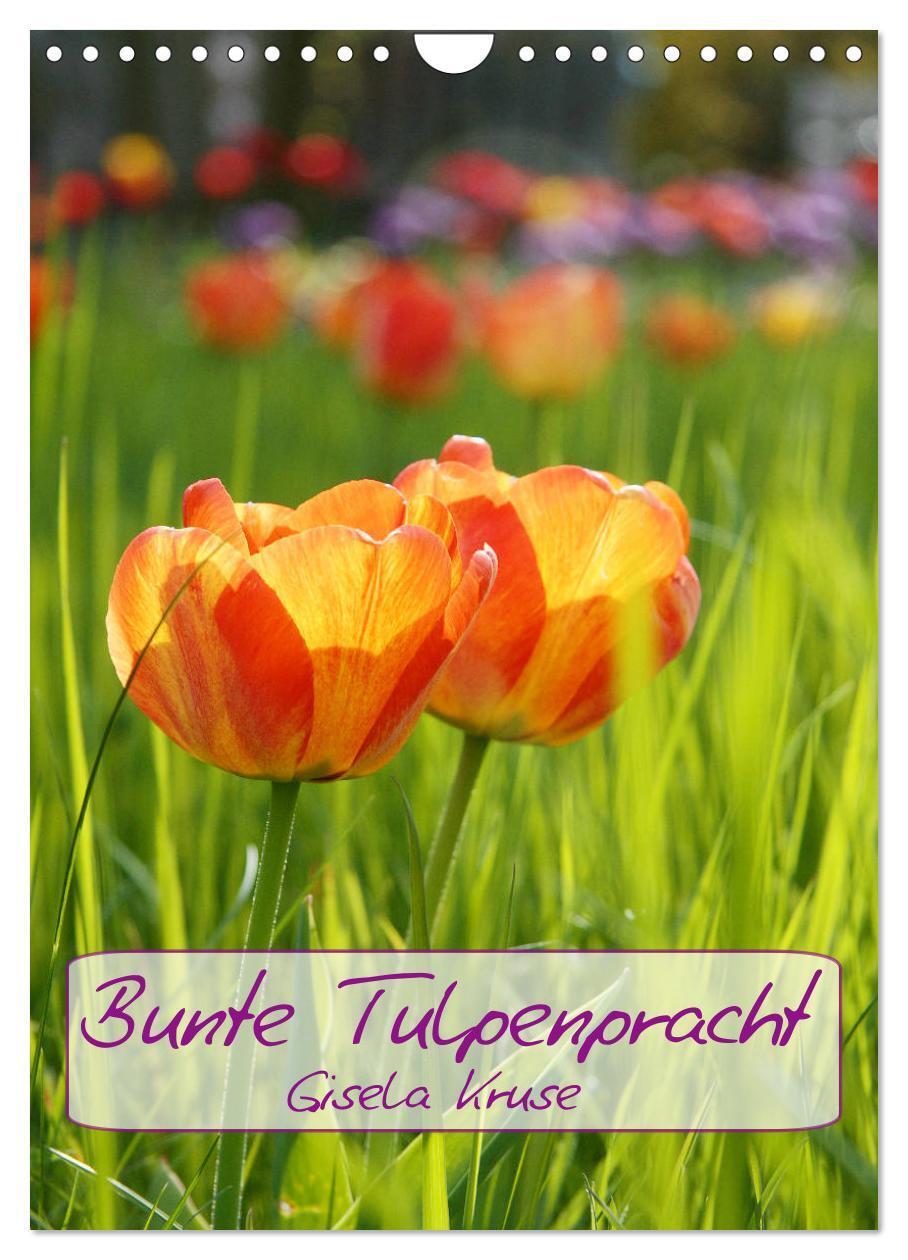Cover: 9783383010323 | Bunte Tulpenpracht (Wandkalender 2024 DIN A4 hoch), CALVENDO...