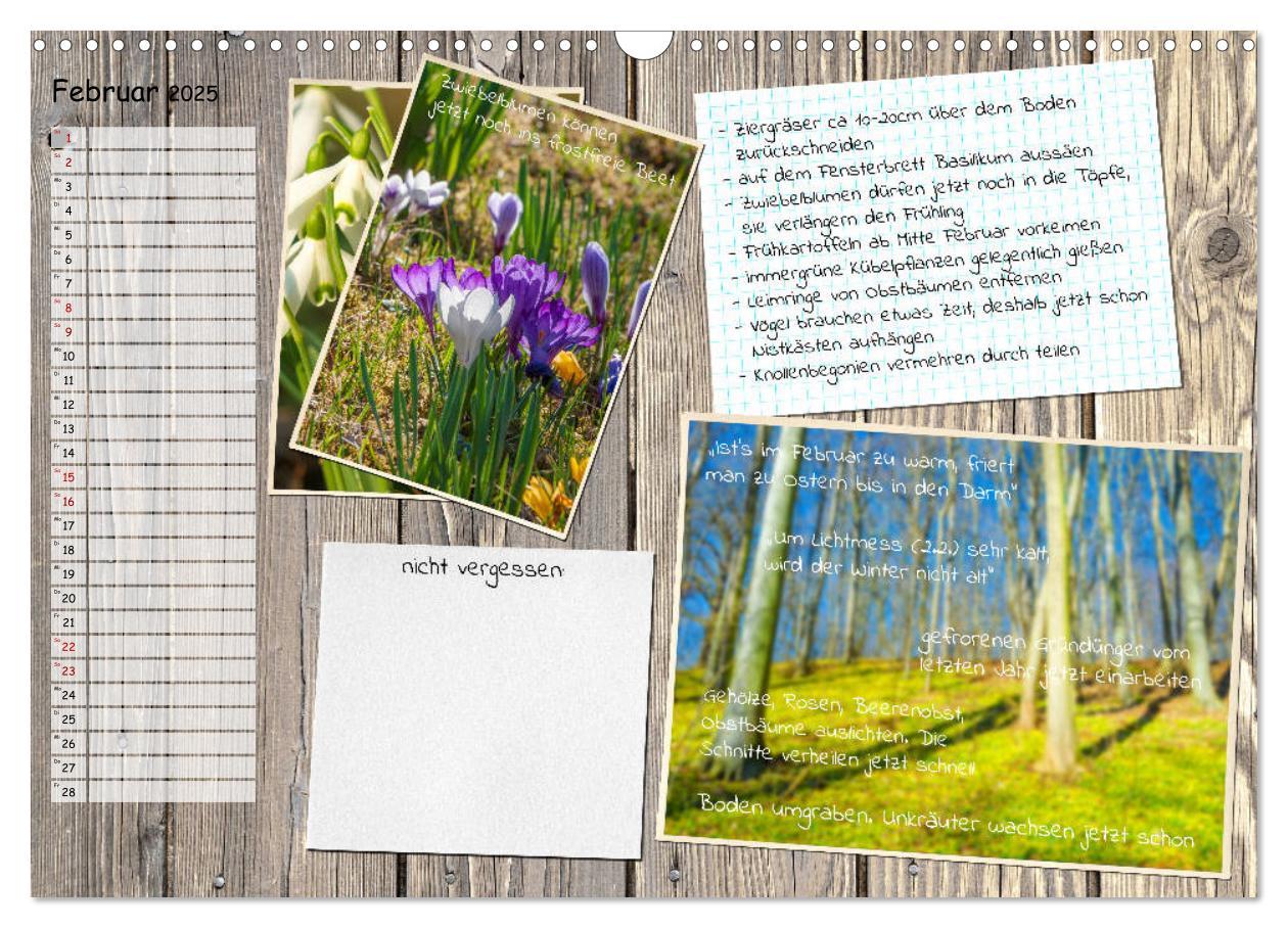 Bild: 9783435132522 | Was ist noch im Garten zu tun? (Wandkalender 2025 DIN A3 quer),...