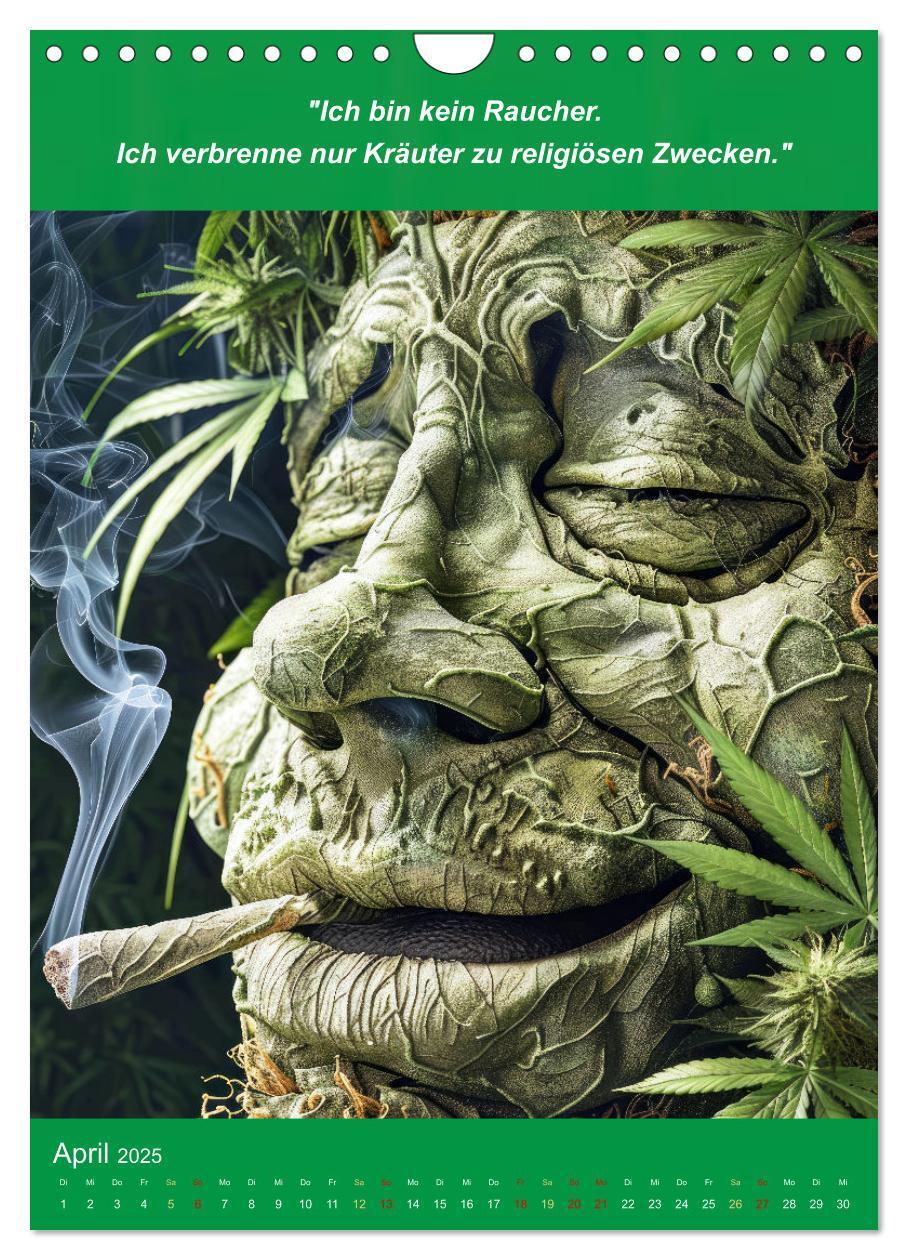 Bild: 9783435691517 | Der humoristische Cannabis Kalender (Wandkalender 2025 DIN A4...