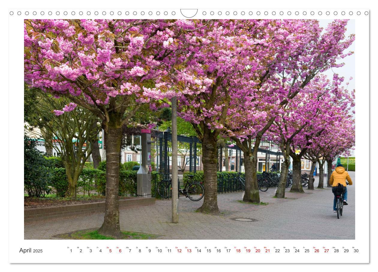 Bild: 9783457145883 | Buntes und blühendes Borkum (Wandkalender 2025 DIN A3 quer),...