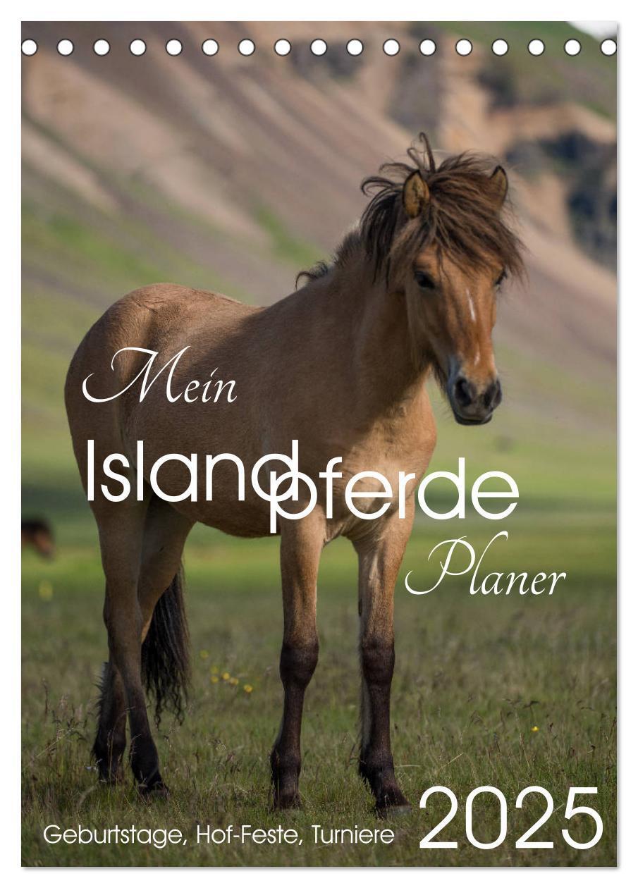 Cover: 9783435979141 | Mein ISLANDPFERDE Planer - Geburtstage, Hof-Feste, Turniere...