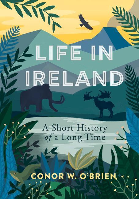 Cover: 9781785373848 | Life in Ireland | A Short History of a Long Time | Conor O'Brien