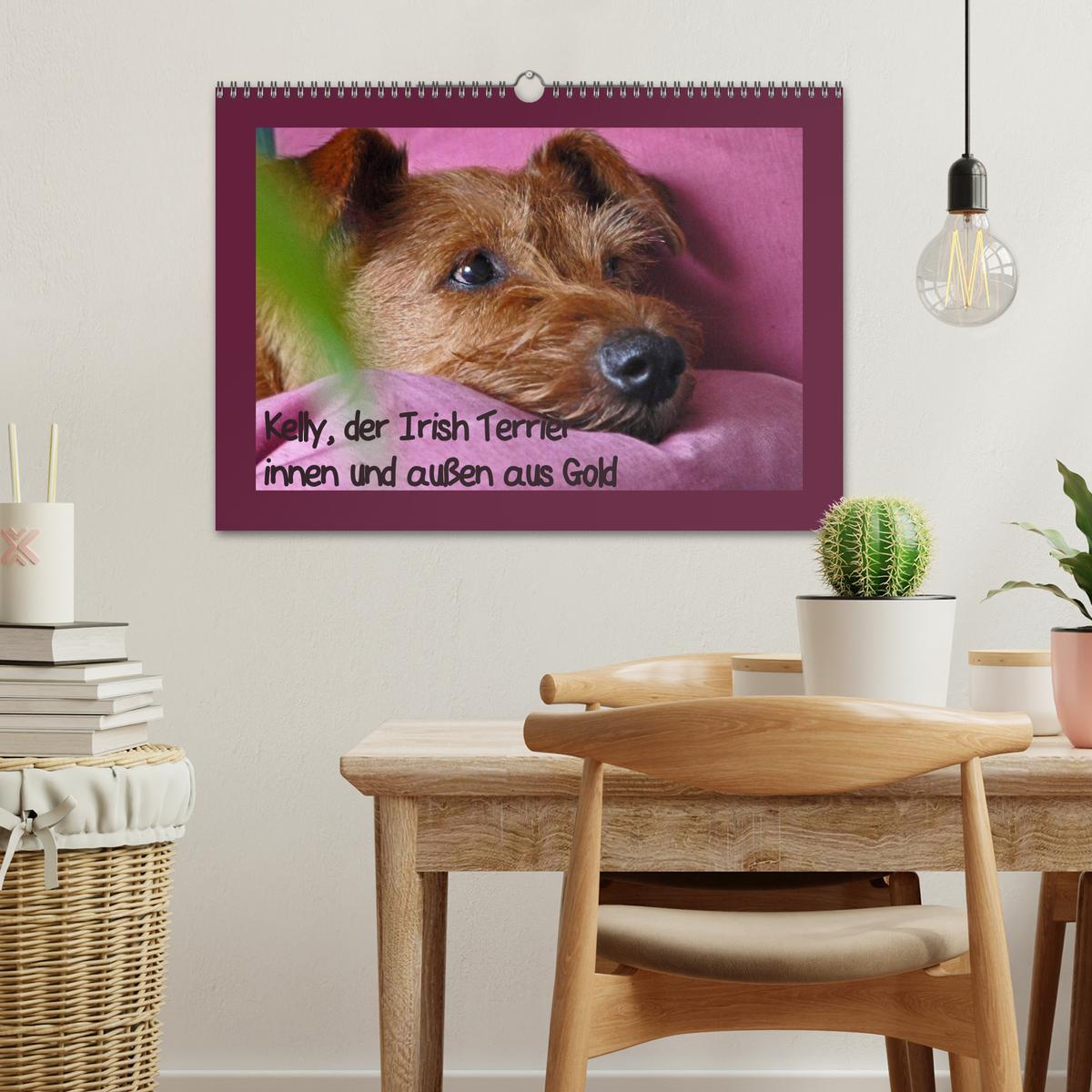 Bild: 9783435286614 | Kelly, der Irish Terrier - innen und außen aus Gold (Wandkalender...