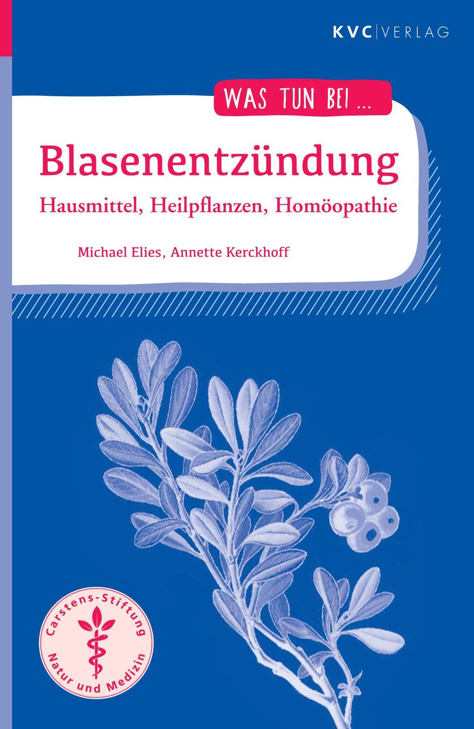 Cover: 9783965620735 | Blasenentzündung | Hausmittel, Heilpflanzen, Homöopathie | Taschenbuch