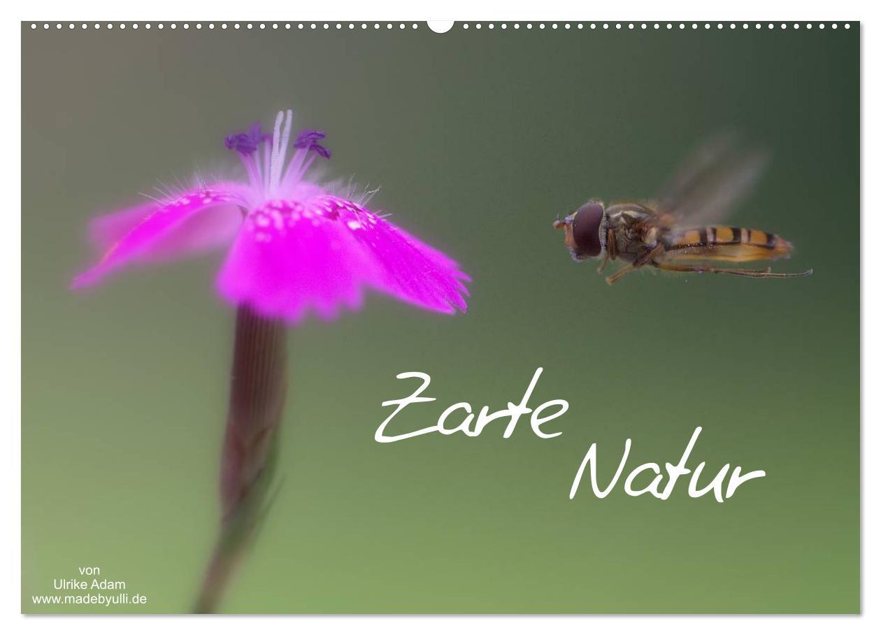 Cover: 9783435693931 | Zarte Natur 2025 (Wandkalender 2025 DIN A2 quer), CALVENDO...