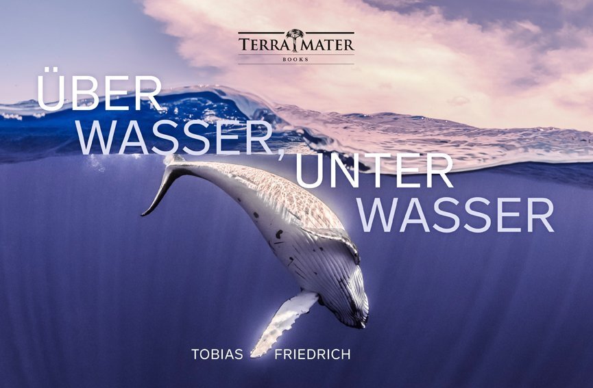Cover: 9783990550090 | Über Wasser, unter Wasser | Tobias Friedrich | Buch | 2018
