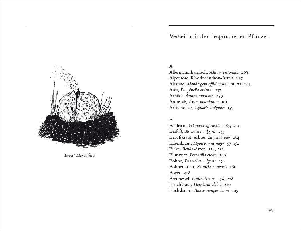 Bild: 9783730613146 | Hexenkräuter. Alte Heilpflanzen und ihre Kräfte | Haerkötter (u. a.)