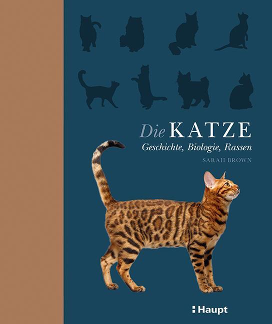Cover: 9783258081649 | Die Katze | Geschichte, Biologie, Rassen | Sarah Brown | Buch | 2020