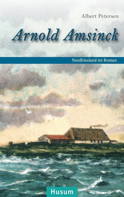 Cover: 9783898767941 | Arnold Amsinck | Nordfriesland im Roman | Albert Petersen | Buch