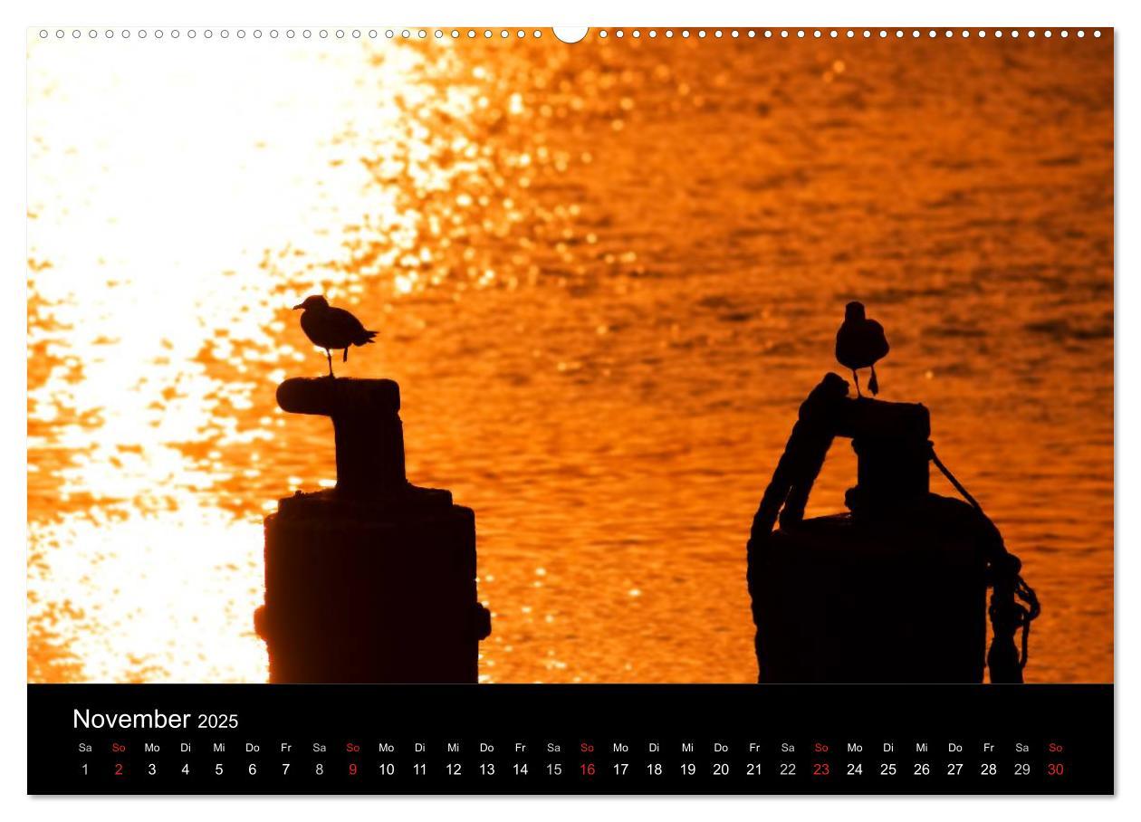 Bild: 9783435767946 | Dänemarks Nordseeküste (Wandkalender 2025 DIN A2 quer), CALVENDO...