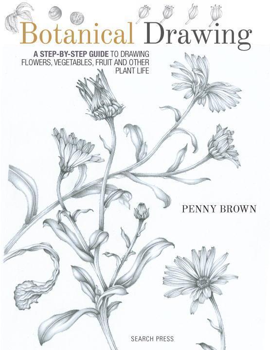 Cover: 9781782212607 | Botanical Drawing | Penny Brown | Taschenbuch | Englisch | 2018