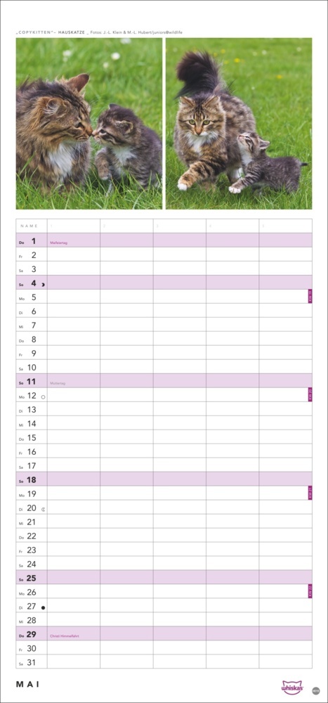 Bild: 9783756405831 | Whiskas Familienplaner 2025 | Kalender | Spiralbindung | 14 S. | 2025