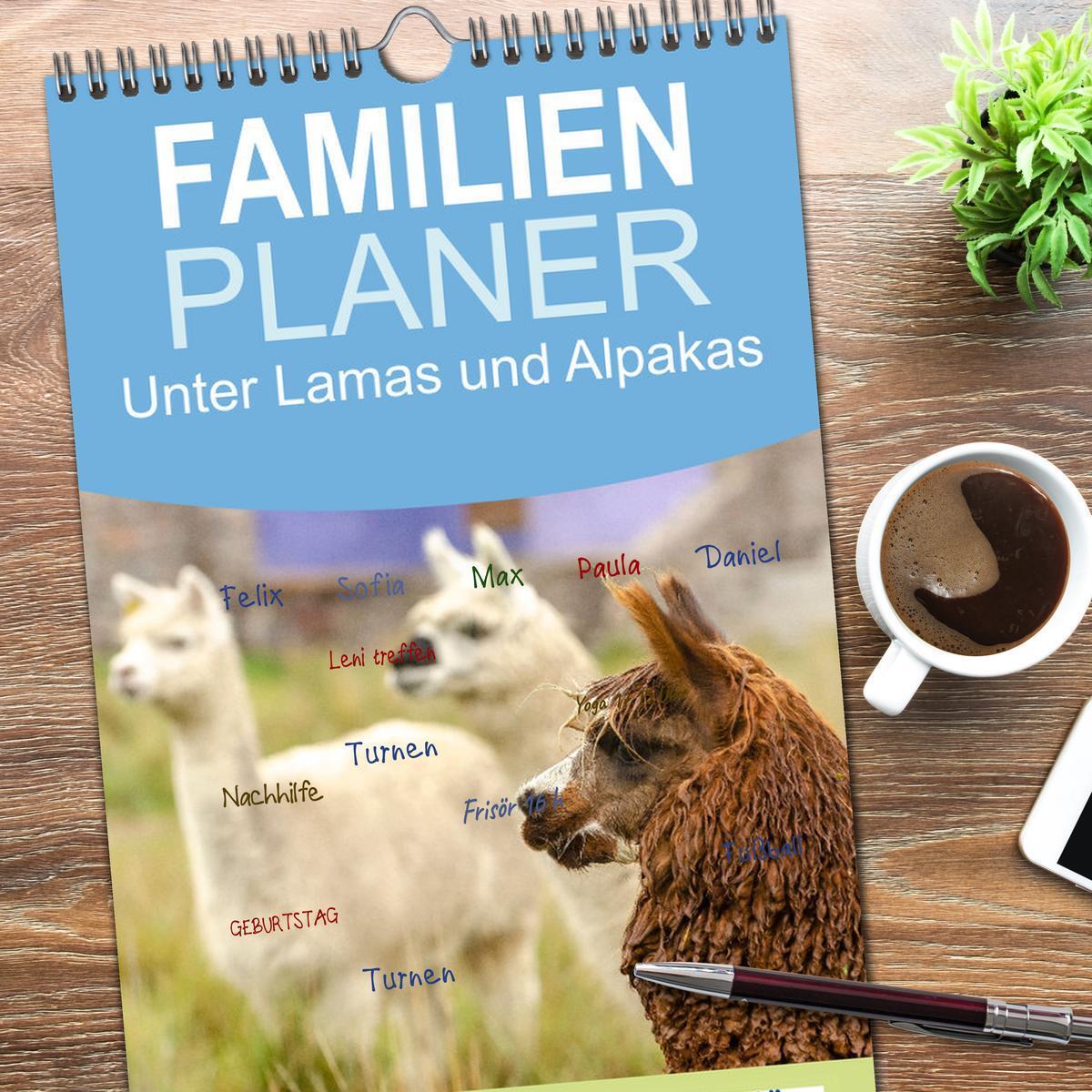 Bild: 9783457091173 | Familienplaner 2025 - Unter Lamas und Alpakas mit 5 Spalten...