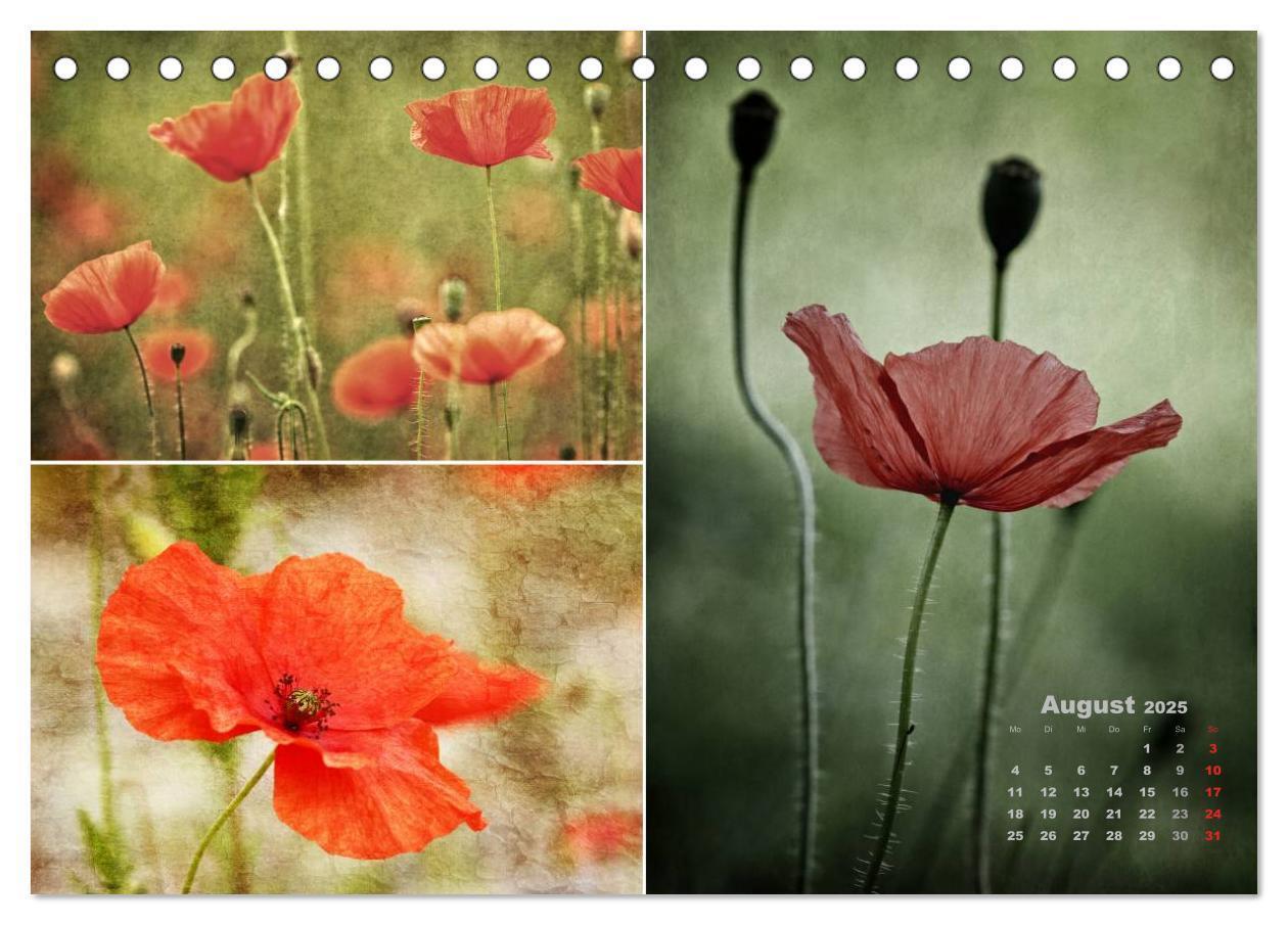 Bild: 9783435611355 | Blumenreise 2025 (Tischkalender 2025 DIN A5 quer), CALVENDO...