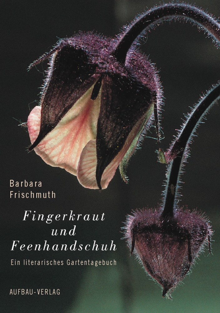 Cover: 9783351028619 | Fingerkraut und Feenhandschuh | Ein literarisches Gartentagebuch