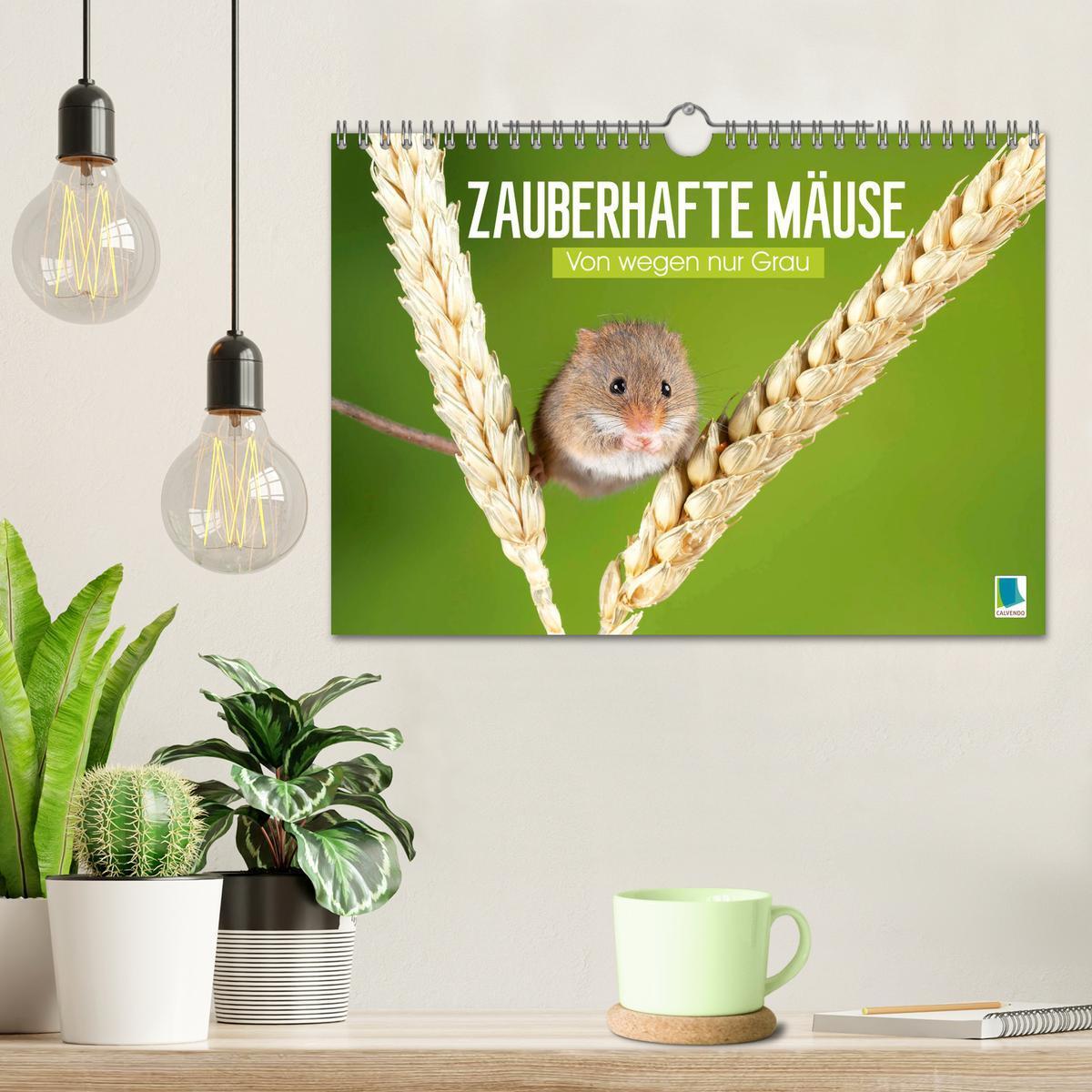 Bild: 9783457197912 | Zauberhafte Mäuse: Von wegen nur Grau (Wandkalender 2025 DIN A4...