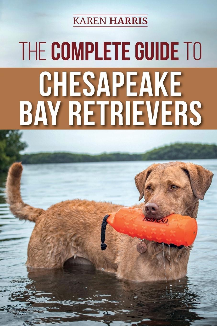 Cover: 9781954288188 | The Complete Guide to Chesapeake Bay Retrievers | Karen Harris | Buch