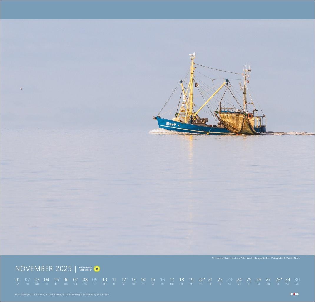 Bild: 9783964023124 | Nationalpark Wattenmeer Edition Kalender 2025 - Martin Stock | 13 S.
