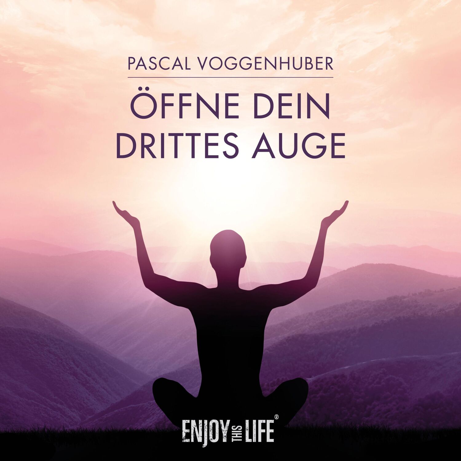 Cover: 9783961110001 | Öffne Dein drittes Auge | Pascal Voggenhuber | Audio-CD | Jewelcase