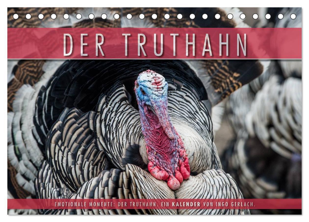 Cover: 9783383403101 | Emotionale Momente: Der Truthahn. (Tischkalender 2024 DIN A5 quer),...