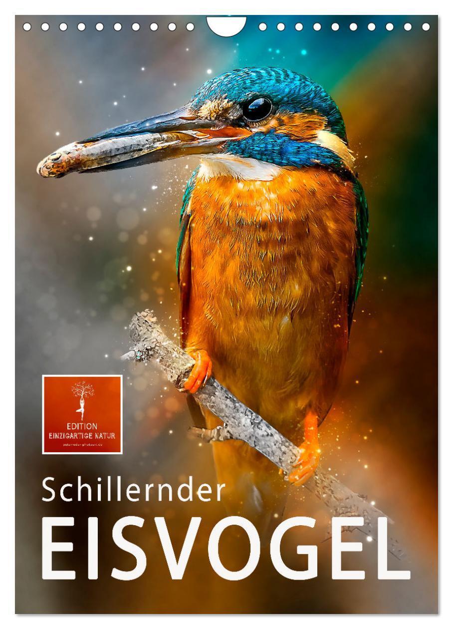 Cover: 9783675927346 | Schillernder Eisvogel (Wandkalender 2024 DIN A4 hoch), CALVENDO...