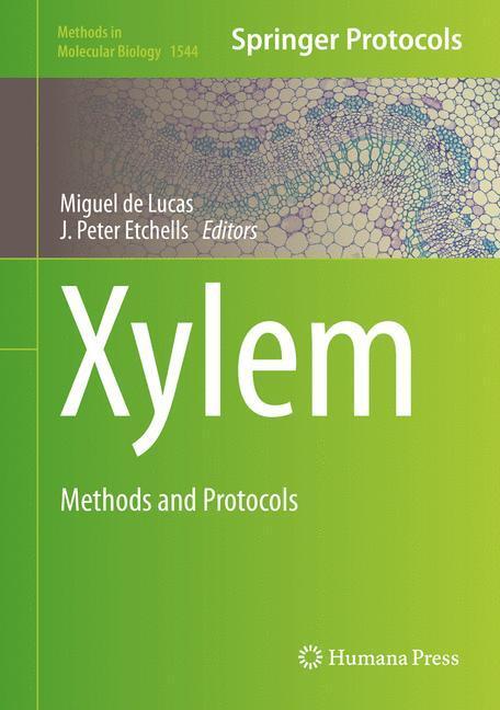 Cover: 9781493967209 | Xylem | Methods and Protocols | J. Peter Etchhells (u. a.) | Buch | x