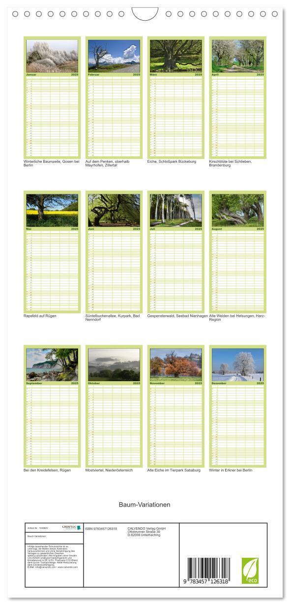 Bild: 9783457126318 | Familienplaner 2025 - Baum-Variationen mit 5 Spalten (Wandkalender,...