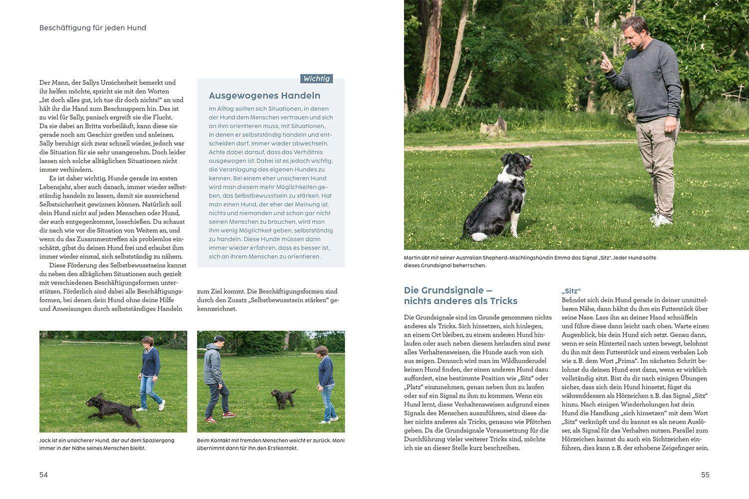 Bild: 9783440174579 | Hunde beschäftigen mit Martin Rütter | Martin Rütter | Buch | 160 S.